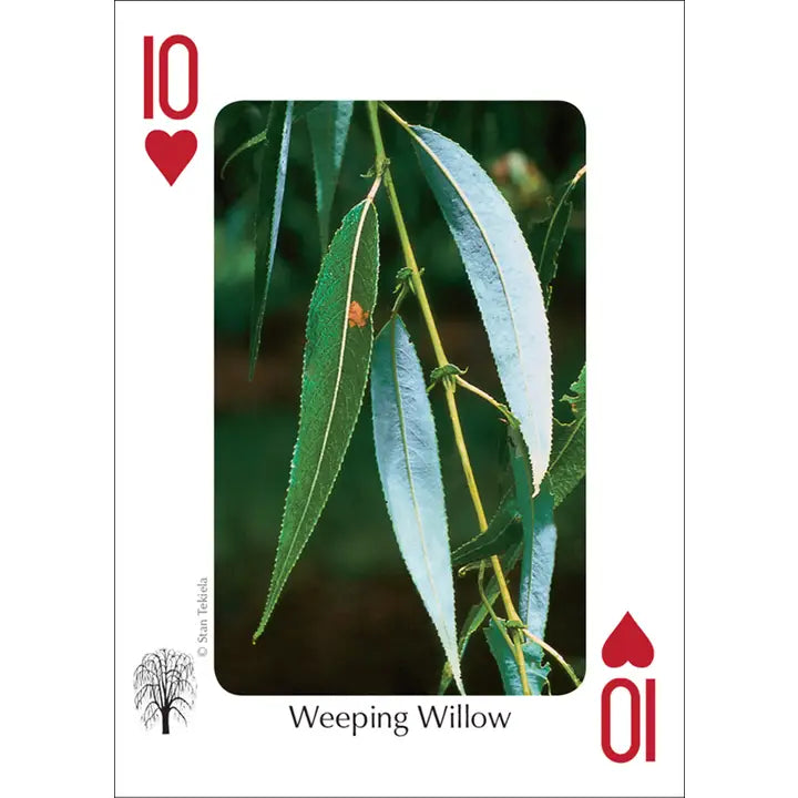 Trees of Midwest Playing Cards