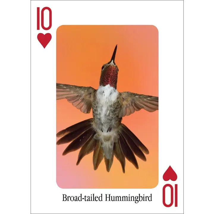 Hummingbirds Playing Cards
