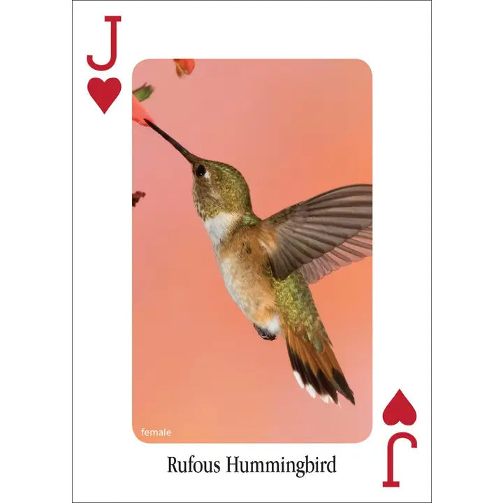 Hummingbirds Playing Cards